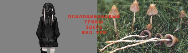 MESCALINE Аркадак