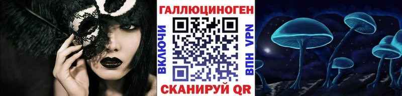 ссылка на мегу ONION Курск Псилоцибиновые грибы Magic Shrooms сколько стоит