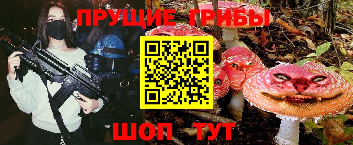 Курск  Псилоцибиновые грибы Psilocybine cubensis  Вход с VPN 